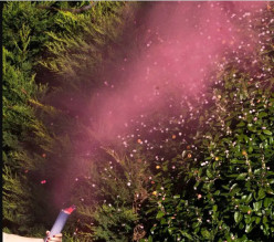 Canhão de Revelação de Fumo e Confettis Rosa